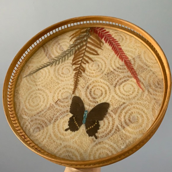 Butterfly tray 🦋